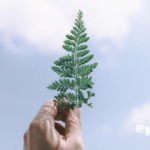 ヨガにおけるアライメントとは？正しさにこだわり過ぎていませんか