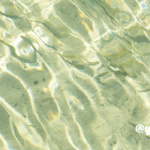 プチお清め習慣で、厄払い！ -yogakko selection-