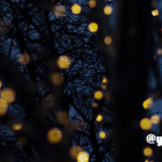 ぷち漢方ライフ ～ 頑張らない1月、目標よりも「今の感覚」を大切に