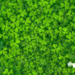 「科学的根拠」を疑えるインストラクターが強い