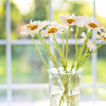 春のウェルネス朝習慣！ -yogakko selection-